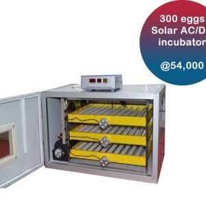 Commercial 300 eggs incubator