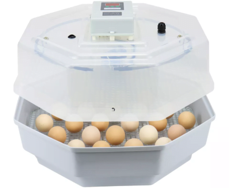 60 Eggs Manual Incubator