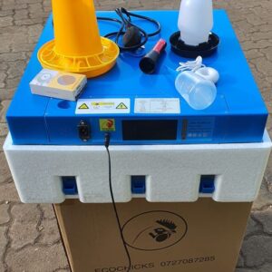 Solar Incubators for Sale in Kenya