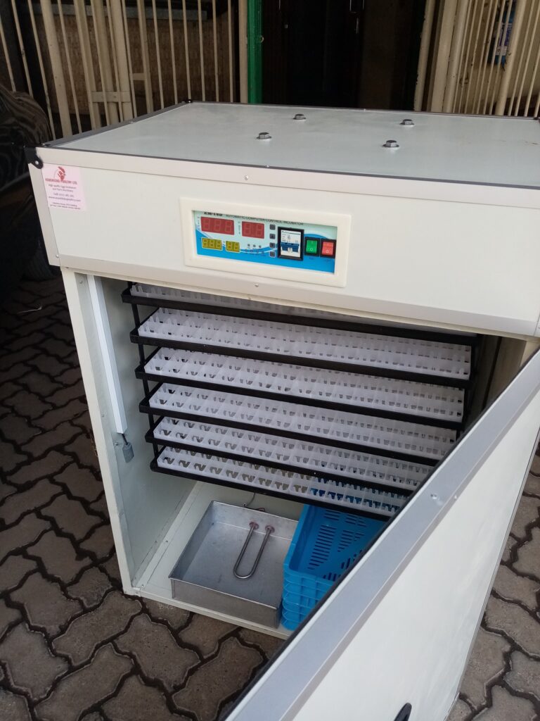 Unlock Your Poultry Farm's Potential with Hatching Eggs Egg Incubator