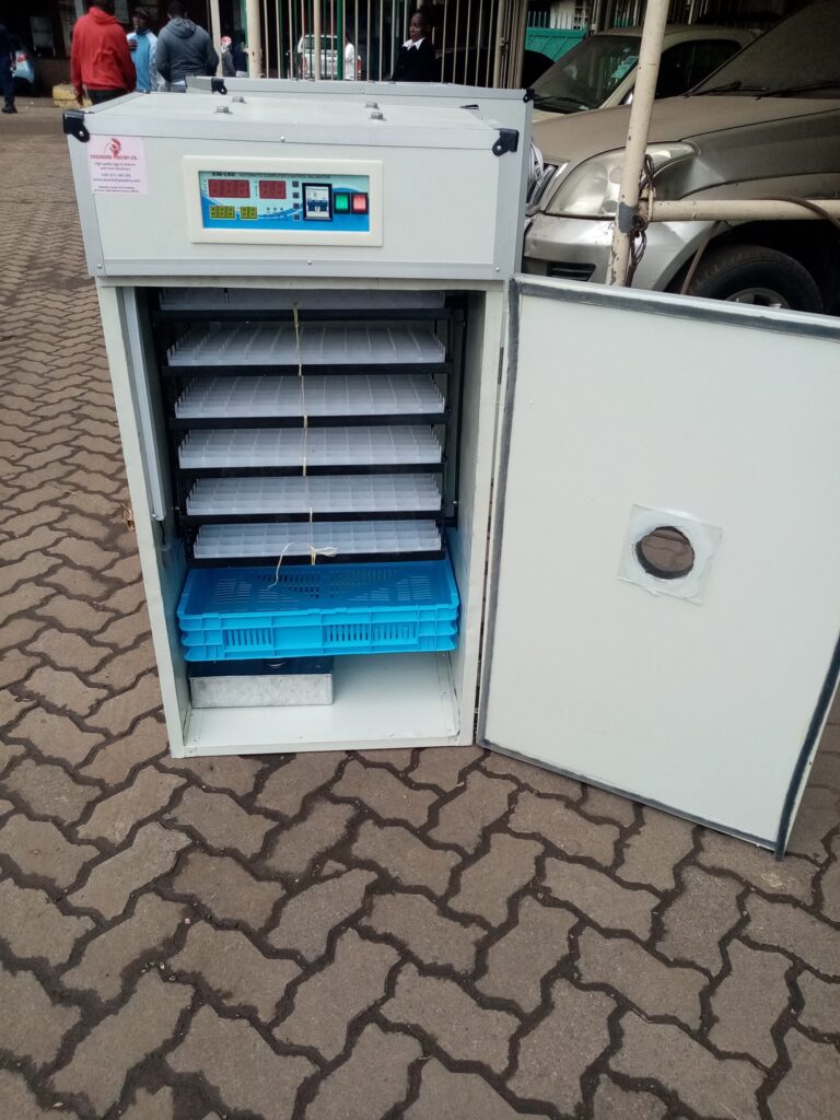 Best farm commercial incubators Egg Incubator Kenya