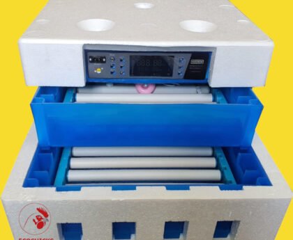 Top Selling Mini Incubators and Automatic Egg Hatchers in Kenya