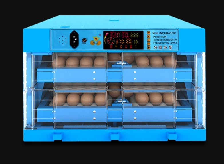 Chicken Incubators for Sale in Kenya