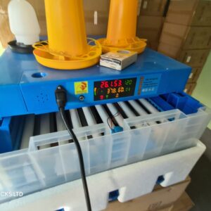Automatic Egg Incubator 64 Eggs Poultry With Automatic Turning And Temperature Humidity Control For Chicken Ducks