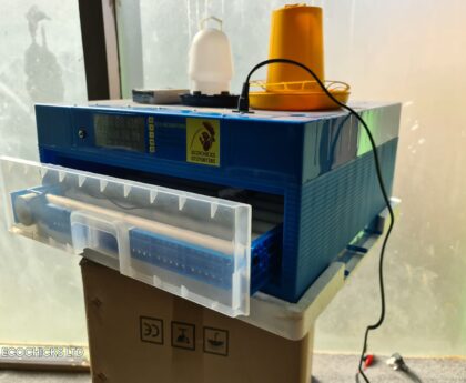 Cheapest incubator in Kenya