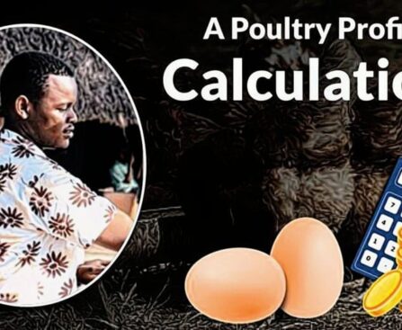 Calculating Egg Hatchery Business Expenses