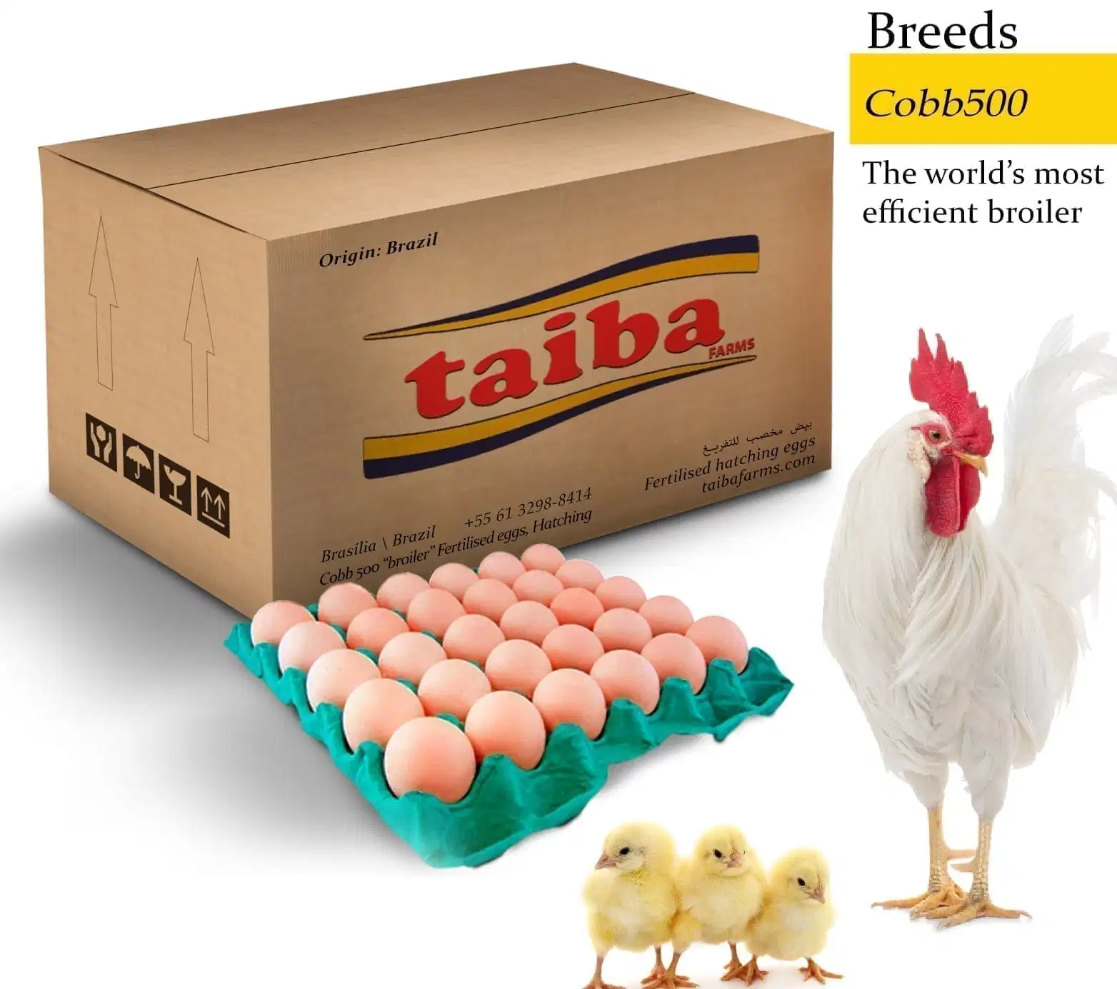 The Cost of Hatching Eggs